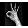 Kézfejről készült kép - XGEO GU60